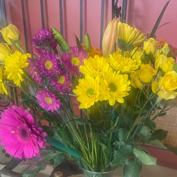 Meet your Posher, Dora - Picture 3 of 6